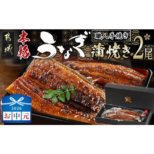 ふるさと納税 うなぎ 宮崎県 都城市 お中元 職人手焼きの本格うなぎ蒲焼き2尾_MJ-33-003-2-SG_(都城市) 鰻蒲焼 2尾 タレ付き 国産 蒲焼き 特製たれ付き 冷凍 …