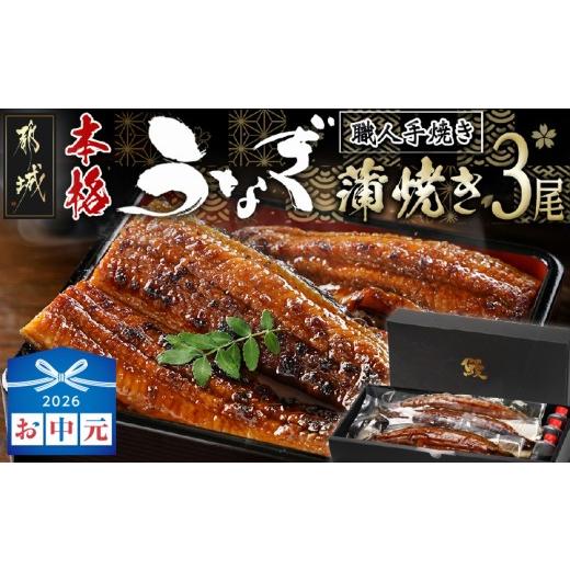 ふるさと納税 うなぎ 宮崎県 都城市 お中元 職人手焼きの本格うなぎ蒲焼き3尾_AC-33-003-3-SG_(都城市) 鰻蒲焼 3尾 タレ付き 国産 蒲焼き 特製たれ付き 冷凍 …