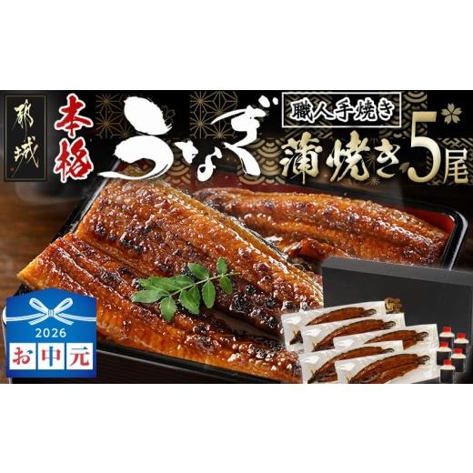ふるさと納税 うなぎ 宮崎県 都城市 お中元 職人手焼きの本格うなぎ蒲焼き5尾_32-33-003-5-SG_(都城市) 鰻蒲焼 5尾 タレ付き 国産 蒲焼き 特製たれ付き 冷凍 …
