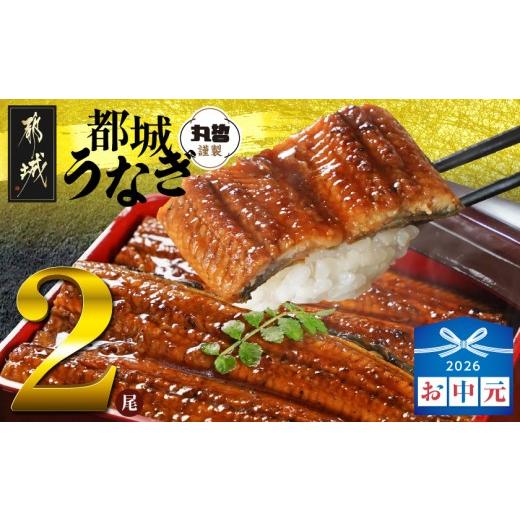 ふるさと納税 うなぎ 宮崎県 都城市 お中元 宮崎県育ちのうなぎ蒲焼2尾300g以上 山椒・たれ付 _13-M301-SG