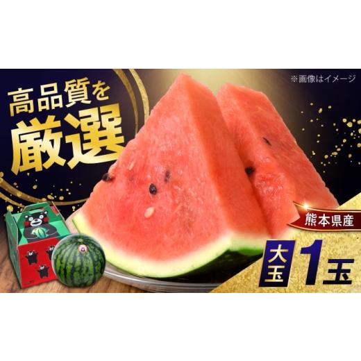 ふるさと納税 スイカ 熊本県 合志市 熊本県産 大玉 スイカ (1玉) 化粧箱入 約5〜6kg M,L階級 西瓜 すいか 春のだんらん 菊池地域農業協同組合