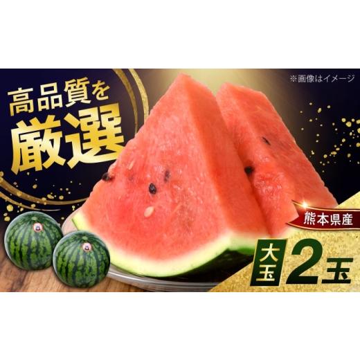 ふるさと納税 スイカ 熊本県 合志市 熊本県産 大玉 スイカ (2玉) 計約10〜12kg M、L階級 西瓜 すいか 春のだんらん 菊池地域農業協同組合