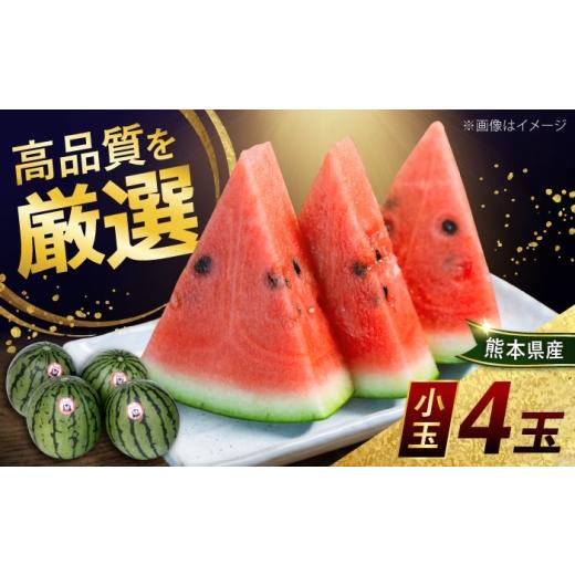 ふるさと納税 スイカ 熊本県 合志市 熊本県産 小玉 スイカ (4玉) 計約8kg 2L階級 西瓜 すいか ひとりじめ 菊池地域農業協同組合