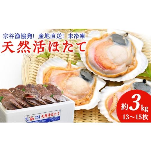 ふるさと納税 魚貝類 ホタテ 北海道 稚内市 順次発送中 宗谷漁協発 産地直送 活ほたて約3kg(13〜15枚入)刺身 海鮮 順次発送