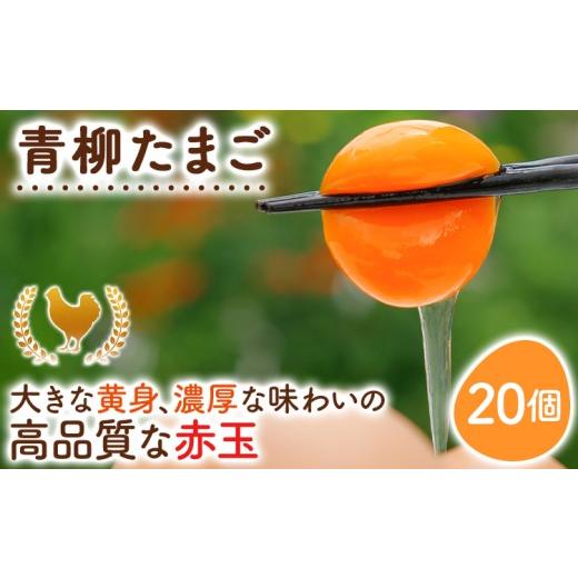 ふるさと納税 卵(鶏、烏骨鶏等) 福岡県 古賀市 卵 青柳たまご 20個 たまご 生卵 鶏卵 ビタミンE 10倍 低コレステロール 濃厚 鮮度抜群 産地直送 農場直送 詰…