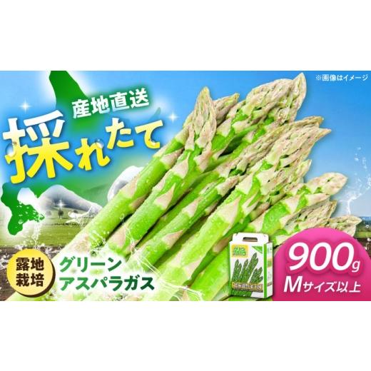 ふるさと納税 野菜類 アスパラガス 北海道 喜茂別町 2026年5月中旬以降順次発送 グリーンアスパラガス 900g (M以上/露地栽培)[喜茂別町] 久保田農園 ア…