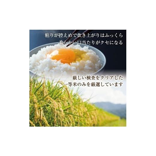 ふるさと納税 無洗米 福岡県 添田町 令和7年産 無洗米 夢つくし 20kg (5kg×4) お米 精米 白米 ブランド米 単一米 福岡県産 3年連続 特A受賞 の実績あり 20kg…_3