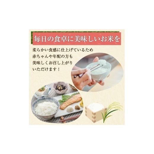 ふるさと納税 無洗米 福岡県 添田町 令和7年産 無洗米 夢つくし 20kg (5kg×4) お米 精米 白米 ブランド米 単一米 福岡県産 3年連続 特A受賞 の実績あり 20kg…_4