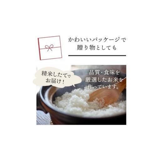 ふるさと納税 無洗米 福岡県 添田町 令和7年産 無洗米 夢つくし 20kg (5kg×4) お米 精米 白米 ブランド米 単一米 福岡県産 3年連続 特A受賞 の実績あり 20kg…_6