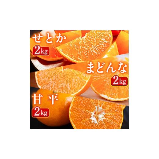 ふるさと納税 みかん・柑橘類 愛媛県 八幡浜市 発送月固定定期便 「蜜時(みつどき)便り」高級3品種 まどんな+甘平+せとか H64-91 全3回_みかん ミカン マド…