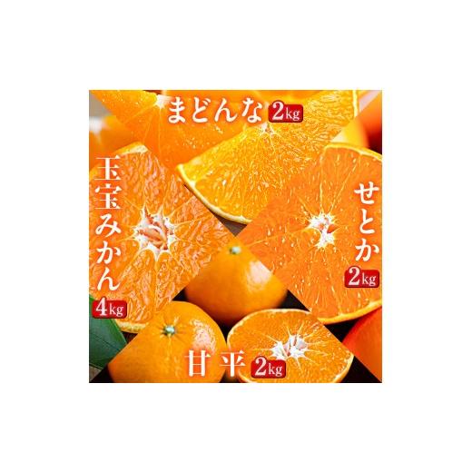 ふるさと納税 果物類 みかん 愛媛県 八幡浜市 発送月固定定期便 「蜜時(みつどき)便り」愛媛限定のまどんなや甘平も届きます H64-92 全4回_みかん ミカン マ…