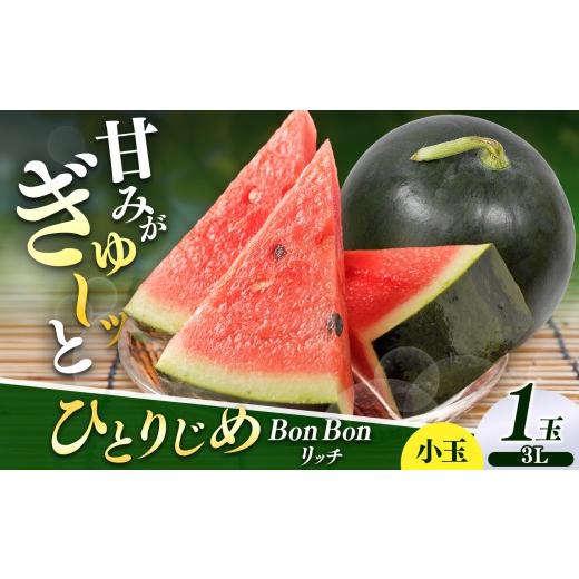 ふるさと納税 スイカ 長野県 松本市 先行受付 松本市 波田産 小玉すいか ひとりじめBonBonリッチ 3L(2kg〜2.5kg)1玉|先行予約 スイカ すいか 小玉スイカ 小…