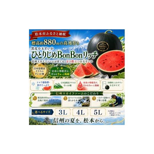 ポンポンリッチ　小玉西瓜秀品3L3玉　10キロ　松本ハイランドより ふるさと納税 スイカ 長野県 松本市 波田産 小玉すいか ひとりじめ