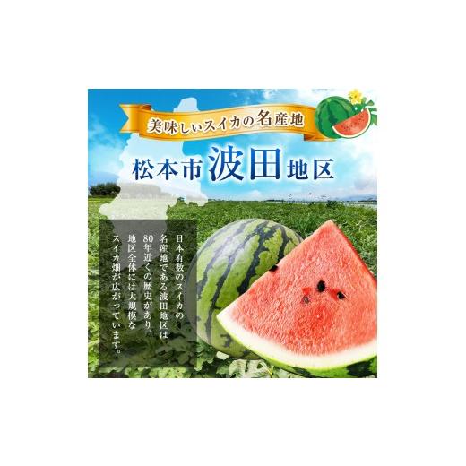 ふるさと納税 スイカ 長野県 松本市 波田産 小玉すいか ひとりじめ