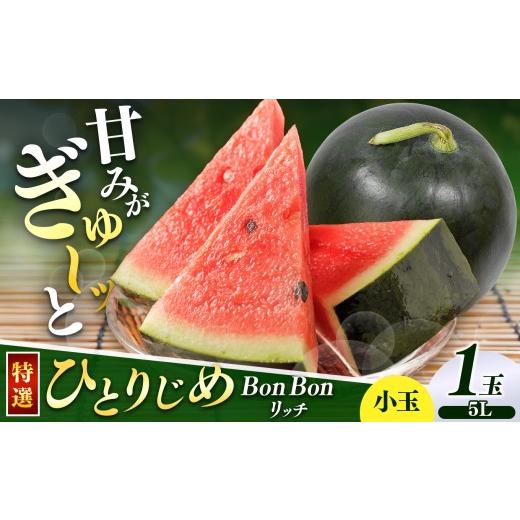 ふるさと納税 スイカ 長野県 松本市 先行受付 松本市 波田産 小玉すいか ひとりじめBonBonリッチ 5L特選プレミアム(約3.9kg以上)1玉|先行予約 スイカ すいか…