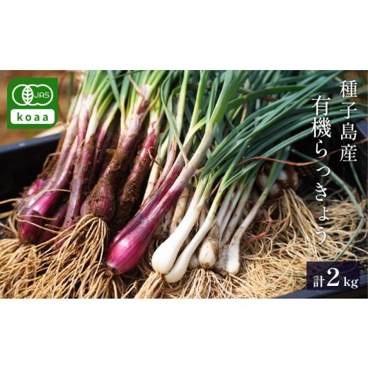 ふるさと納税 人参・大根・他根菜 鹿児島県 西之表市 赤&白 有機 オーガニック らっきょう 詰合せ セット 誠農園 ( 種子島 JAS 根つき 生らっきょう) 2kg NF…