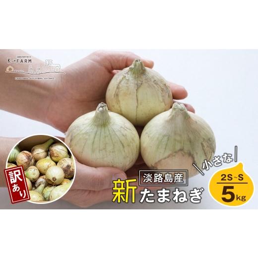 ふるさと納税 野菜類 玉ねぎ 兵庫県 淡路市 訳あり 新たまねぎ 小さな淡路島たまねぎ 2S〜Sサイズ 5kg 玉ねぎ 産地直送 タマネギ 甘い 玉葱 旬 玉ねぎ野菜 オ…