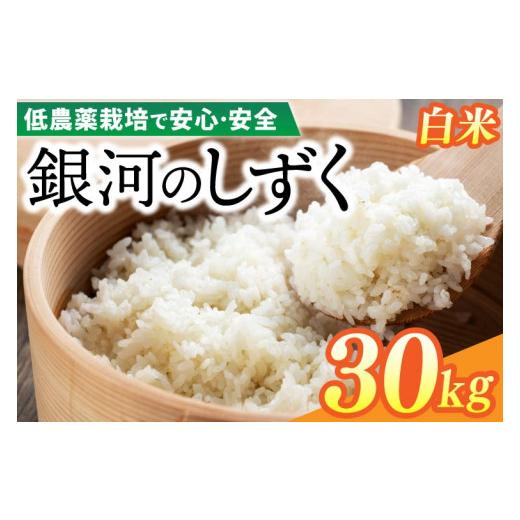 ふるさと納税 米 岩手県 紫波町 令和7年産 銀河のしずく 30kg (精米) 低農薬栽培米 生産者直送 生産地域限定ブランド米 (EI015) 30kg (10kg×3袋)