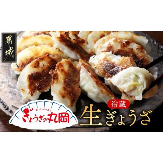 ふるさと納税 餃子 宮崎県 都城市 ぎょうざの丸岡 生ぎょうざ50個たれ付き_AA-O1-001