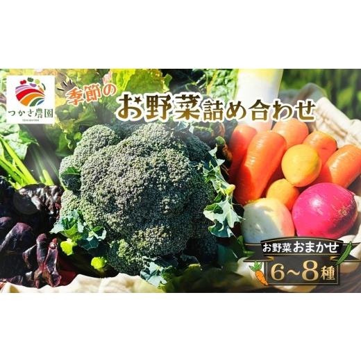 ふるさと納税 セット・詰合せ 愛知県 春日井市 つかさ農園 季節のお野菜詰め合わせ(6〜8種) 北海道・沖縄・離島への配送不可 2026年6月中旬〜9月下旬頃に順…