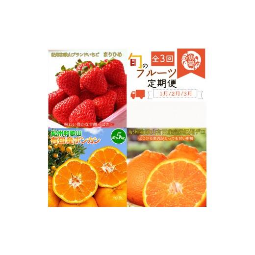 ふるさと納税 いちご 和歌山県 太地町 発送月固定定期便 紀州和歌山産旬のフルーツセット(いちご2P・ポンカン・紀州デコ約3kg)全3回