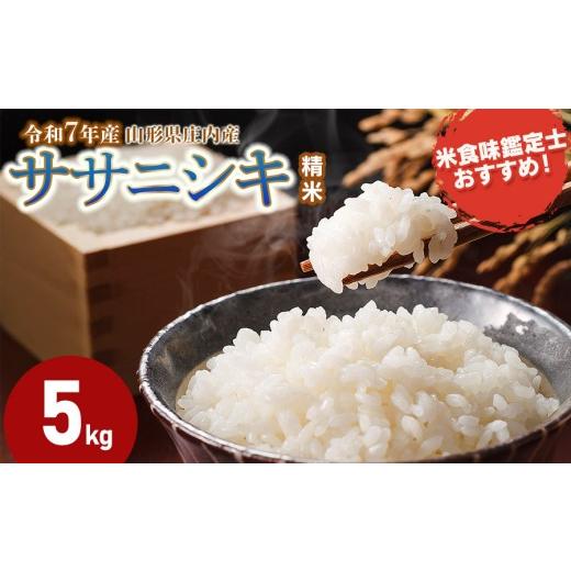 ふるさと納税 米 ササニシキ 山形県 鶴岡市 令和7年産 ササニシキ 精米 5kg (5kg×1袋) 山形県 庄内産 米食味鑑定士お薦め | ささにしき 5キロ 米 お米 コ…