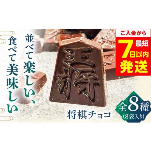ふるさと納税 菓子 チョコレート 大阪府 高槻市 最短7日以内発送 coconomiオリジナル将棋チョコ チョコレート 将棋 ギフト お菓子 スイーツ モリタ屋 大阪府…
