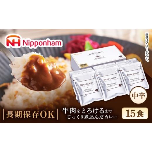 ふるさと納税 加工品等 レトルト 長崎県 諫早市 牛肉をとろけるまでじっくり煮込んだカレー 15食 / 常温 レトルト カレー スパイス ギフト 贈答 中元 歳暮 お…