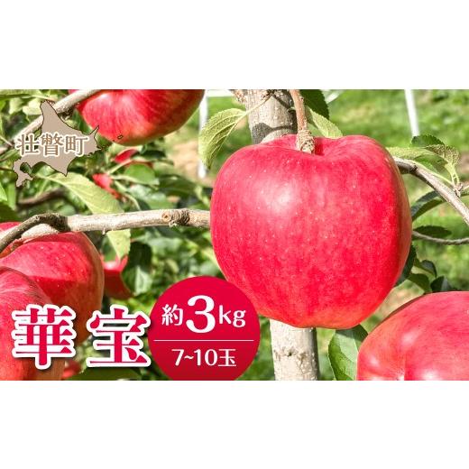 ふるさと納税 りんご 北海道 壮瞥町 2026年10月上旬よりお届け 北海道壮瞥町 りんご 品種名「華宝」7〜10玉約3kg ふるさと納税 人気 おすすめ ランキング …