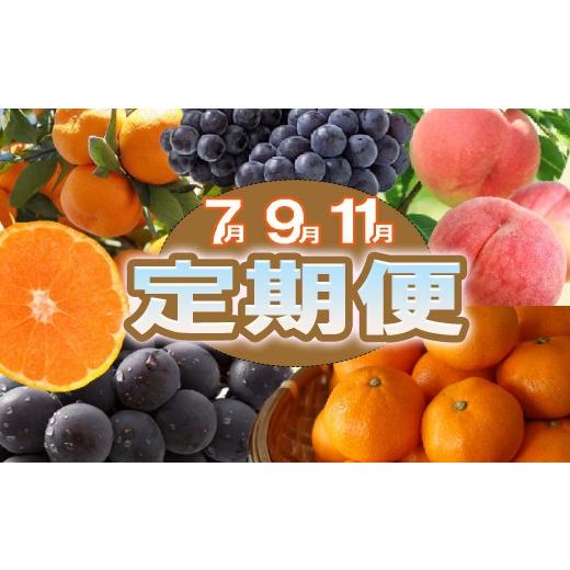 ふるさと納税 もも 和歌山県 北山村 定期便全3回 産直・和歌山フルーツ定期便(桃・ピオーネ・有田みかん)