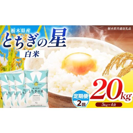 ふるさと納税 米 栃木県 那珂川町 栃木県共通返礼品 先行予約 令和8年度産 定期2回 訳あり 栃木県産 とちぎの星 20kg |ふるさと 納税 とちぎの星 お米 精米 …