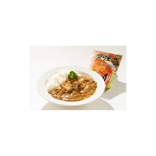 ふるさと納税 加工品等 レトルト 岩手県 宮古市 龍泉洞黒豚堪能 カリー亭ポークカレー2食セット 1728602