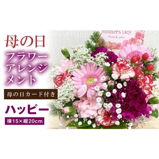 ふるさと納税 雑貨・日用品 花 大阪府 阪南市 母の日 フラワーアレンジメント ハッピー 2026年5月8日出荷 | 花 お花 生花 フラワーギフト カーネーション ガ…