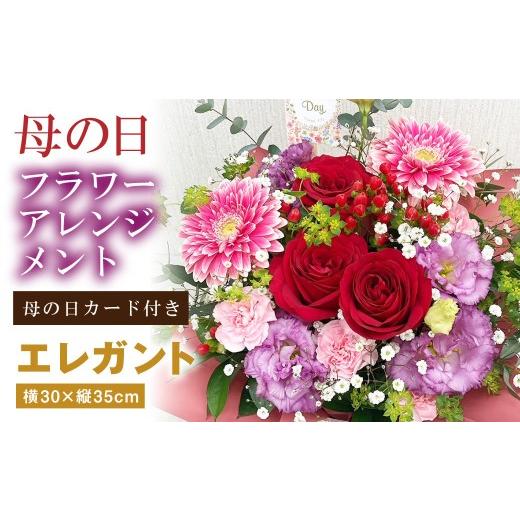 ふるさと納税 雑貨・日用品 花 大阪府 阪南市 母の日 フラワーアレンジメント エレガント 2026年5月8日出荷 | 花 お花 生花 フラワーギフト カーネーション …