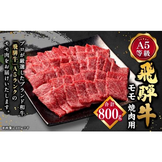 ふるさと納税 牛肉 焼肉・バーベキュー 岐阜県 美濃加茂市 飛騨牛 焼肉用 モモ肉 800g ( A5等級 ) 和牛 霜降り 旨み 柔らかさ お肉 ニク にく 肉 牛肉 牛 国…
