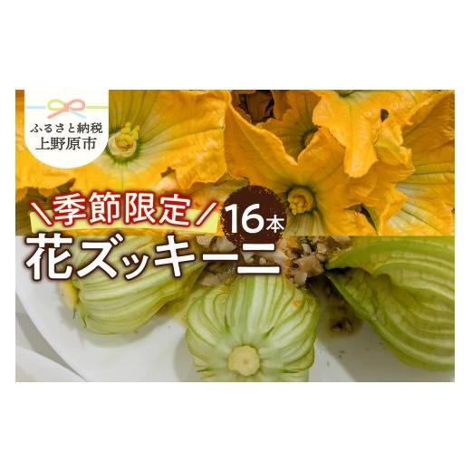 ふるさと納税 野菜類 山梨県 上野原市 2026年先行予約 関東甲信越エリア限定 ＼季節限定/花ズッキーニ(16本入り)