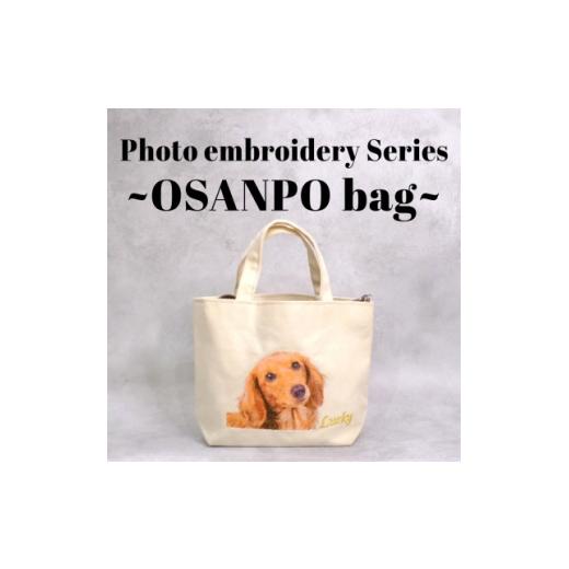 ふるさと納税 カバン 愛知県 半田市 フォト刺繍 お散歩バッグ 1719133