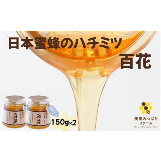 ふるさと納税 はちみつ・砂糖 宮城県 美里町 日本蜜蜂のハチミツ(150g×2)瓶入り/ はちみつ みつばち ハチミツ 天然 日本蜂蜜 蜂蜜