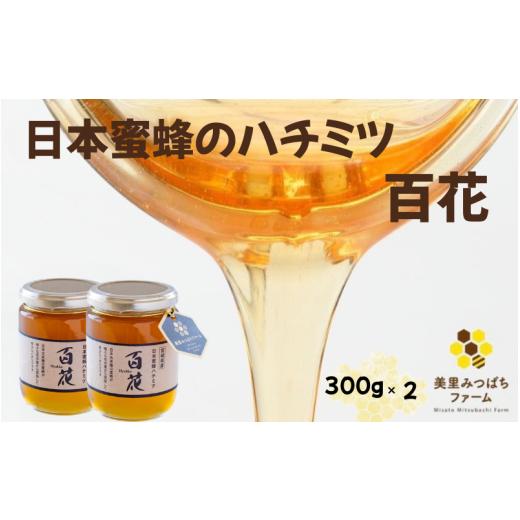 ふるさと納税 はちみつ・砂糖 宮城県 美里町 日本蜜蜂のハチミツ 300g×2 瓶入り / はちみつ みつばち ハチミツ 天然 日本蜂蜜 蜂蜜
