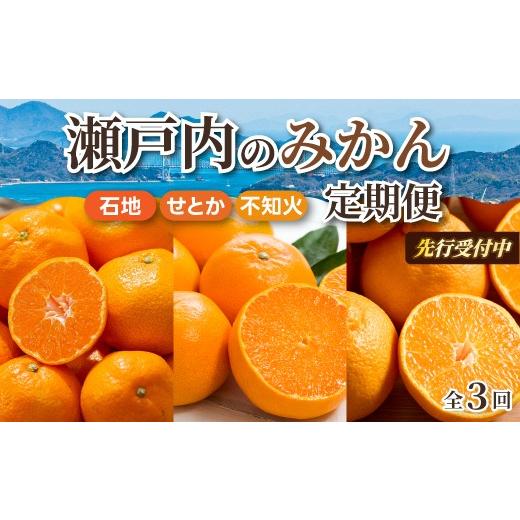 ふるさと納税 果物類 みかん 広島県 三原市 数量限定 先行受付 柑橘食べ比べ定期便(3種)石地みかん・せとか 各2.5kg 不知火 2kg フルーツ 果物 みかん しら…