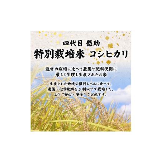 ふるさと納税 米 コシヒカリ 新潟県 新発田市 2026年6月中旬より順次配送 令和7年産 特別栽培米 コシヒカリ 20kg 単品 コンテスト 入賞 米 おこめ お米 ブラ…