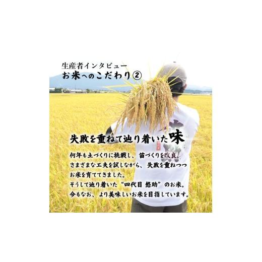 ふるさと納税 米 コシヒカリ 新潟県 新発田市 2026年6月中旬より順次配送 令和7年産 特別栽培米 コシヒカリ 20kg 単品 コンテスト 入賞 米 おこめ お米 ブラ…