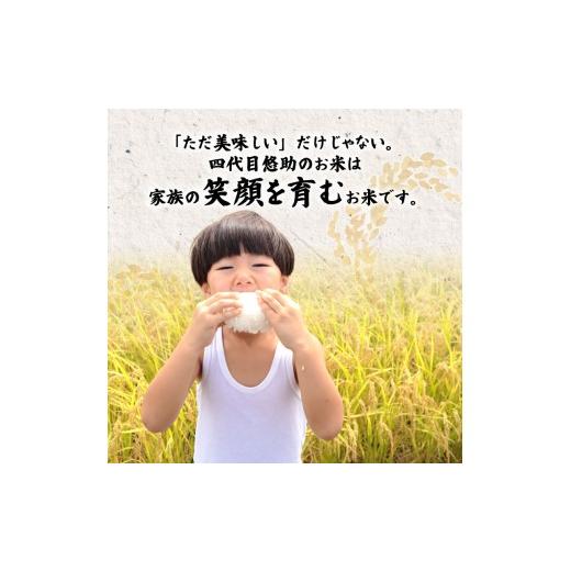 ふるさと納税 米 コシヒカリ 新潟県 新発田市 2026年6月中旬より順次配送 令和7年産 特別栽培米 コシヒカリ 20kg 単品 コンテスト 入賞 米 おこめ お米 ブラ…