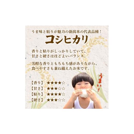 ふるさと納税 米 コシヒカリ 新潟県 新発田市 2026年6月中旬より順次配送 令和7年産 特別栽培米 コシヒカリ 20kg 単品 コンテスト 入賞 米 おこめ お米 ブラ…