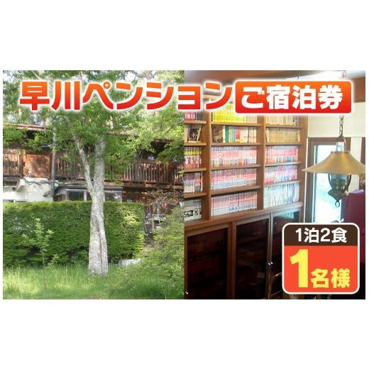 ふるさと納税 宿泊券 ペンション・コテージ 長野県 原村 早川ペンション ご宿泊券 1泊2食 1名様 | 宿泊 お泊り ペンション 夕食 朝食 家庭料理 手作りパン 自…