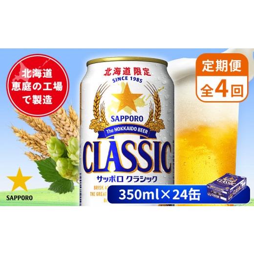 ふるさと納税 ビール 北海道 恵庭市  定期便：全4回 サッポロクラシック 350ml×24本 | サッポロクラシック クラシック 北海道限定 サッポロビール 24本 サッ…の画像