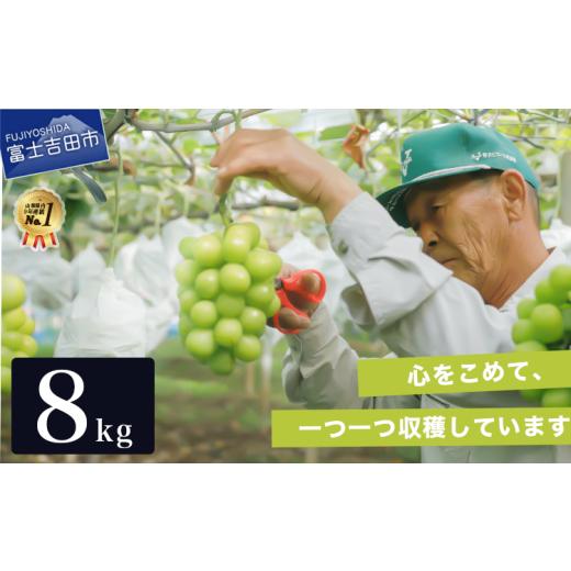 ふるさと納税 ぶどう マスカット 山梨県 富士吉田市 2026年発送 数量限定 期間限定 産地直送 高級シャインマスカット4kg×2箱(12〜16房) 単品1回 4kg×2箱…