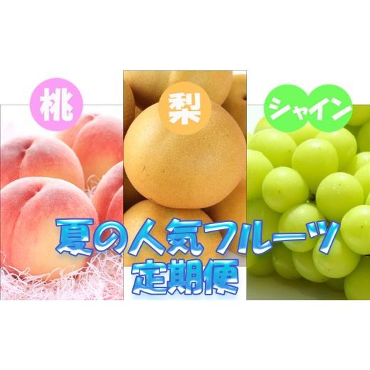 ふるさと納税 果物類 和歌山県 串本町 定期便 定期便全3回 7月・8月・9月発送 和歌山の夏の人気フルーツをお届け(桃・梨・シャイン)