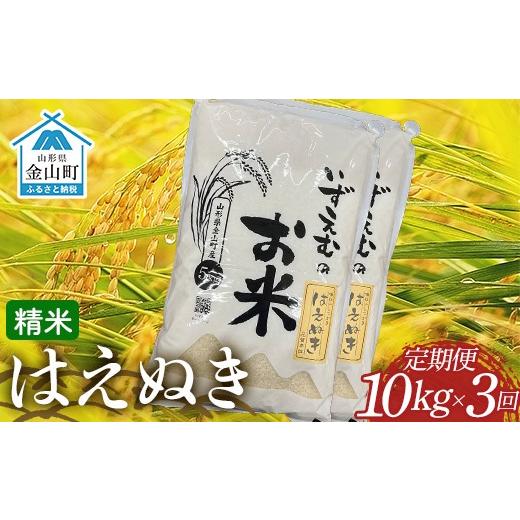 ふるさと納税 米 はえぬき 山形県 金山町 先行予約 令和8年産米 金山町産はえぬき 精米 定期便3ヶ月 10kg×3回 米 お米 白米 ご飯 精米 ブランド米 送料無料…