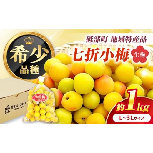 ふるさと納税 果物の詰合せ 愛媛県 砥部町 梅 七折小梅(生梅) 約1kg 5月中旬から6月下旬まで順次発送 / 小梅 青梅 生梅 梅干し 梅干 梅酒 梅ジュース 梅シロ…